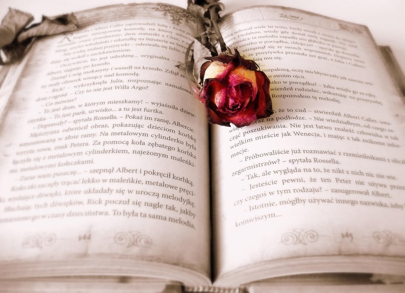 Academic Courses Image